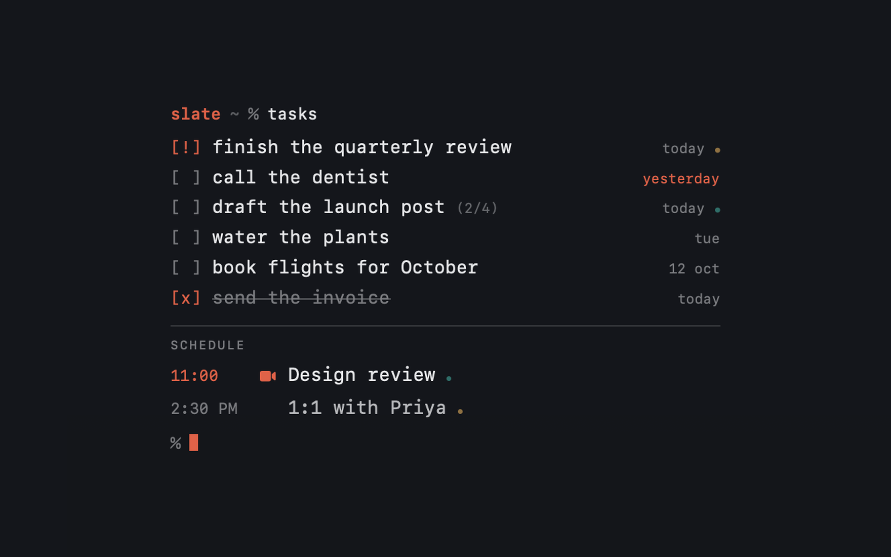 The Terminal template: a monospaced session with prompts.